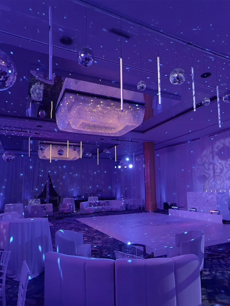 Asian Wedding VVR Pro