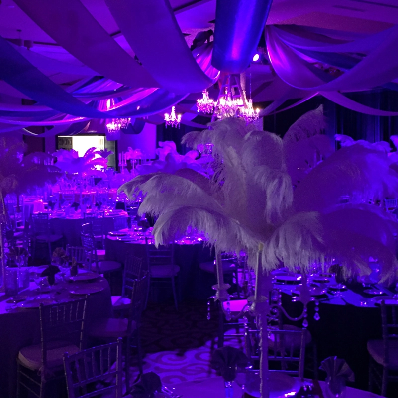 Bridal aisle lighting VVR Pro