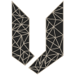 VVR Pro Logo